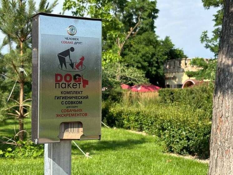     Фото: gorvesti.ru