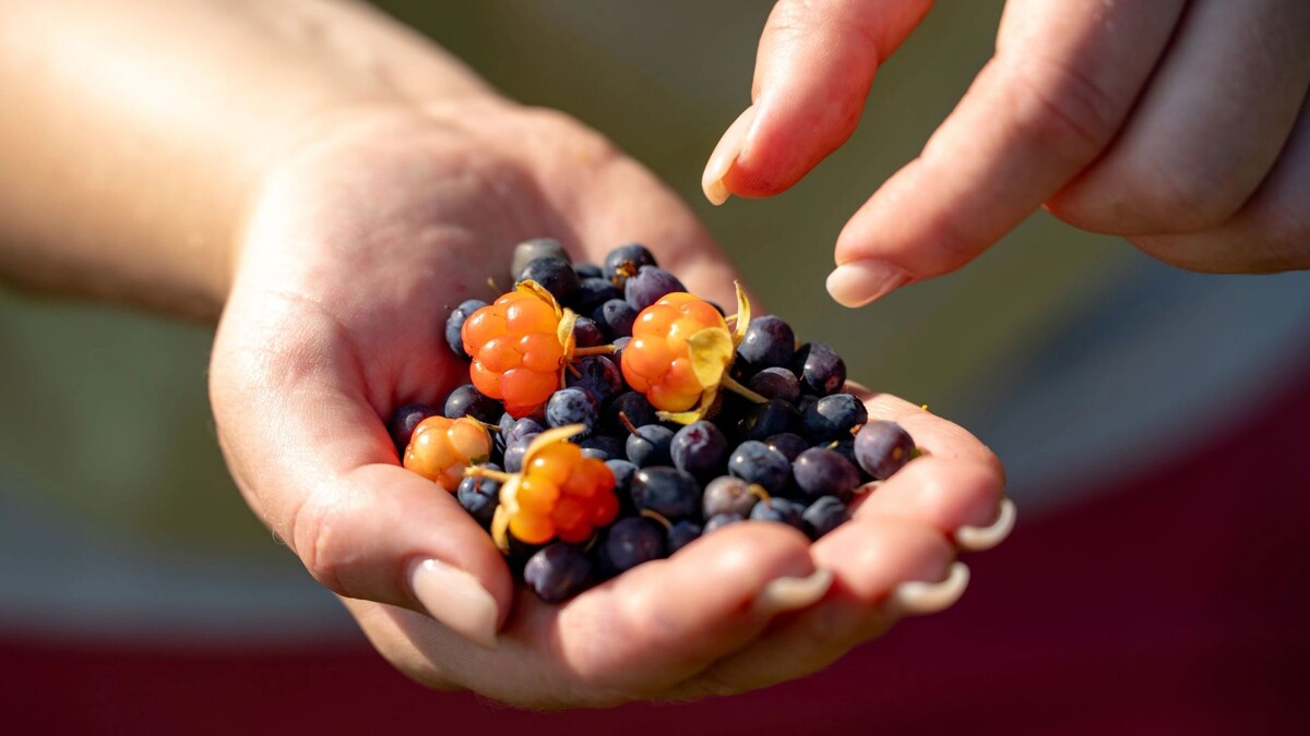    Фото: Сергей Зубков / «Ямал-Медиа»