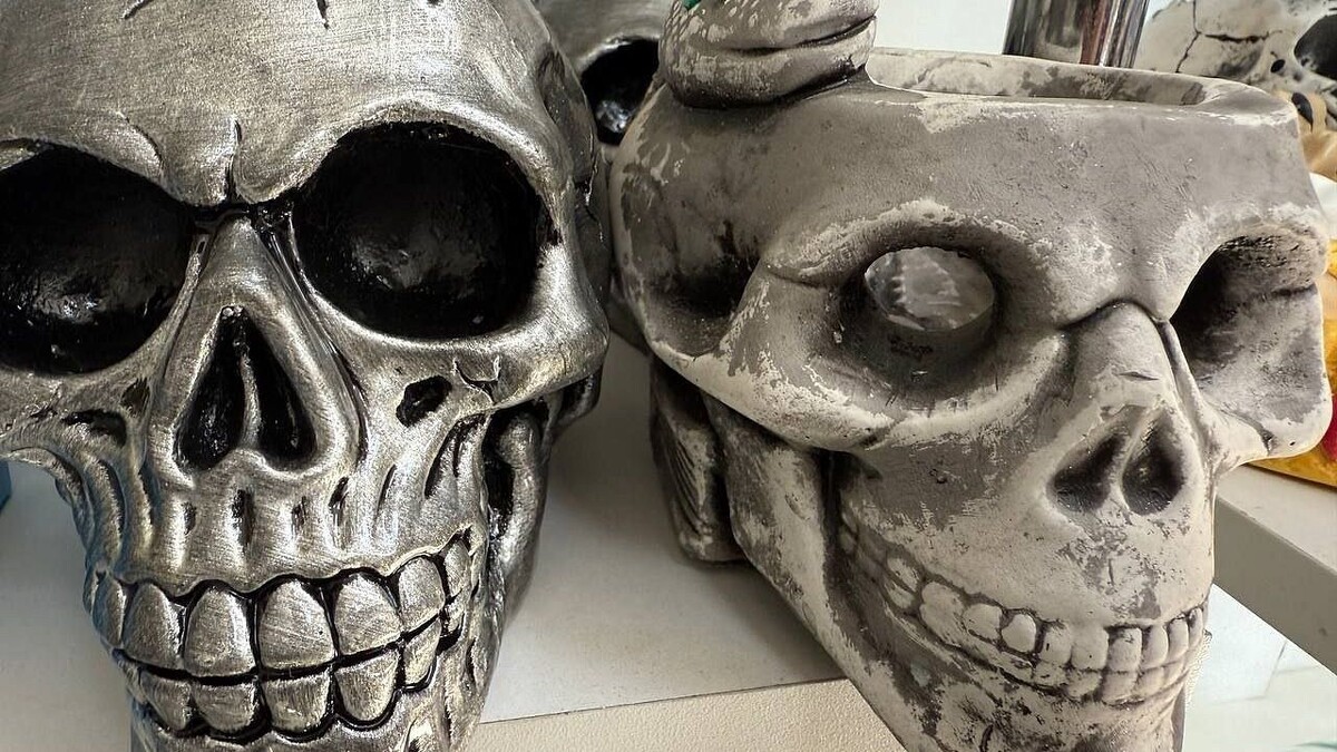    Фото: телеканал «Краснодар»