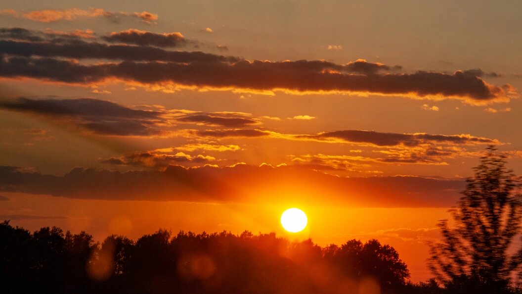    Svetlana Vozmilova/Global Look Press