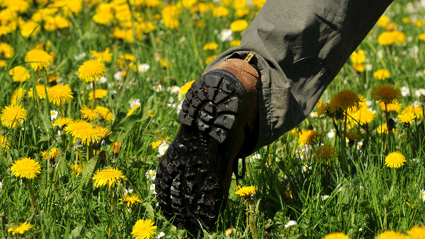 Фото: Dieter Möbus/CHROMORANGE/Global Look Press. Текст: Ольга Никитина