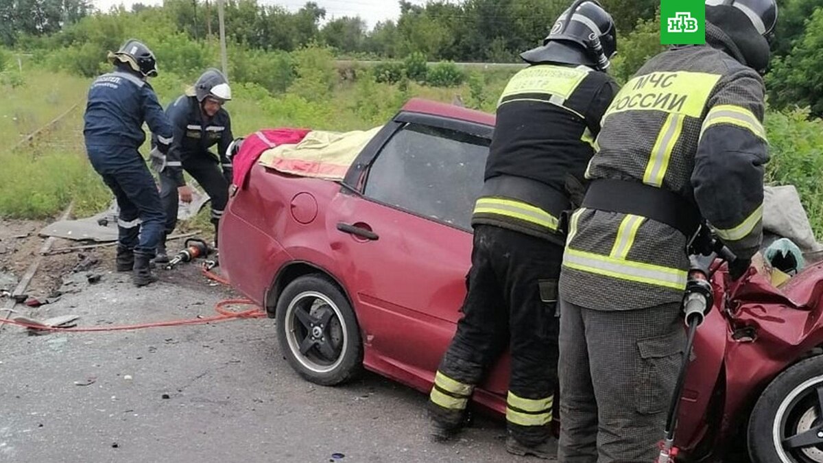   Фото: stogkursk / vk.com