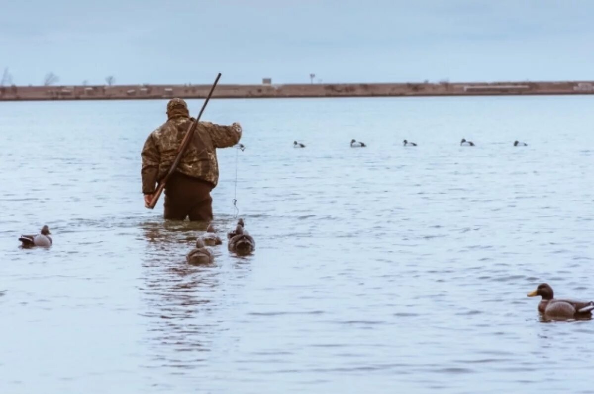   В Югре открывается сезон охоты на дичь