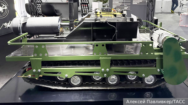     Фото: Алексей Павливкер/ТАСС   
 Текст: Дарья Григоренко