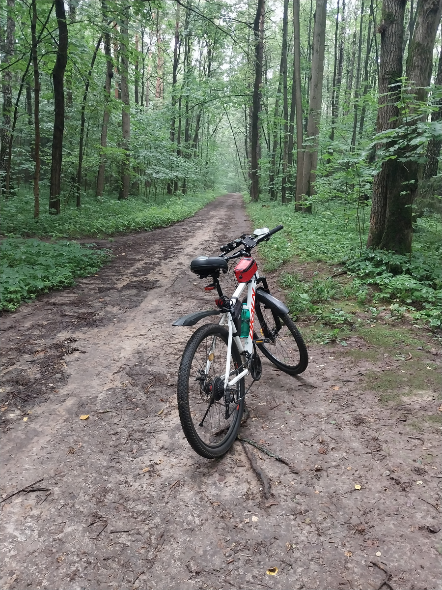 Парк Чертаново.