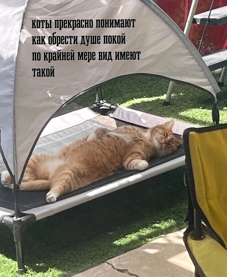 фото из интеренета