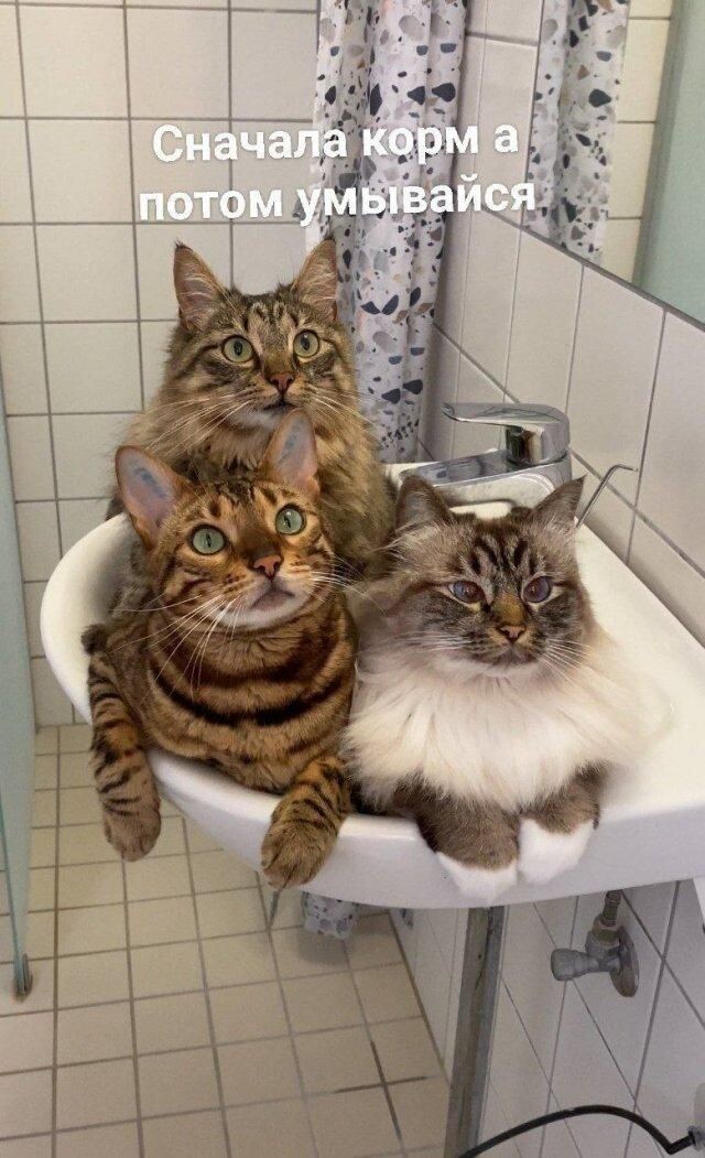 фото из интернета