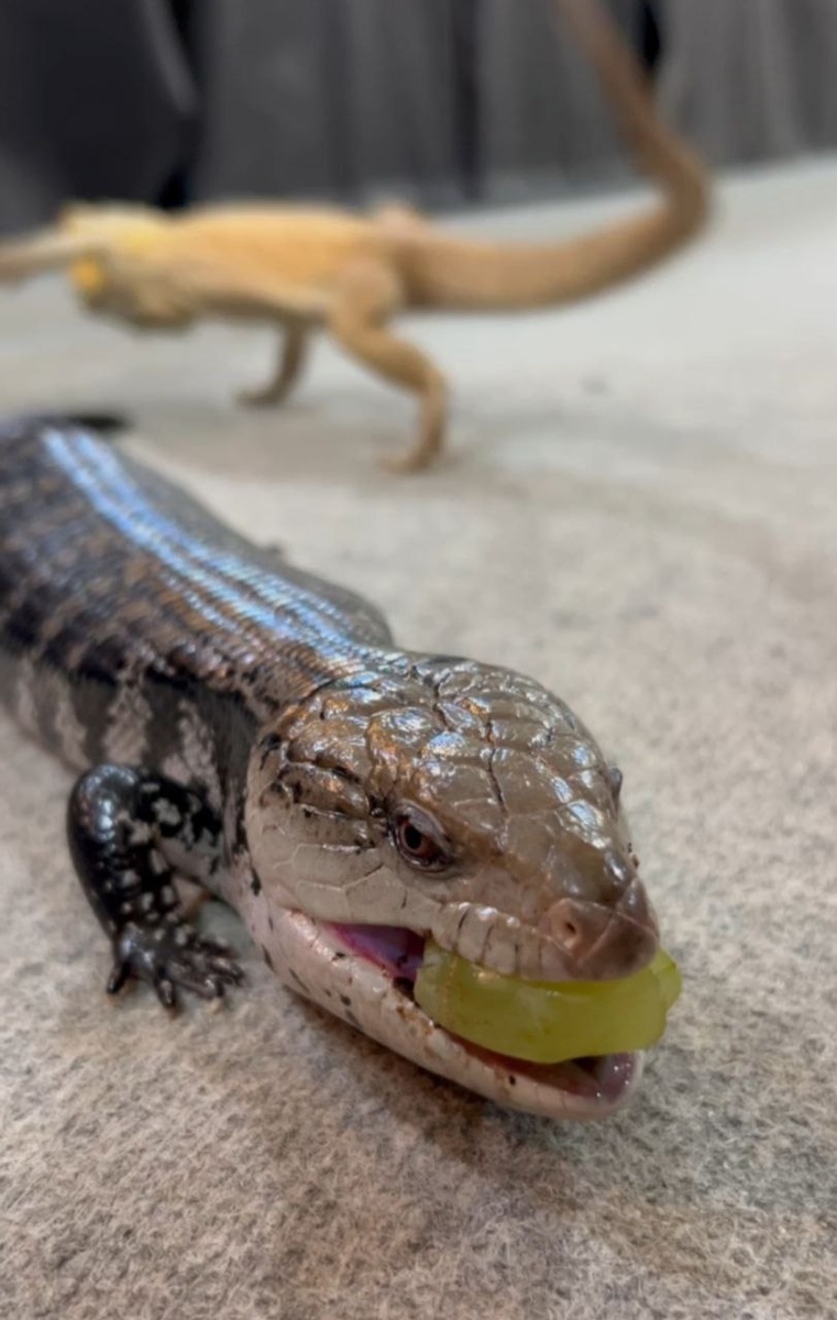 А что это было на заднем плане?)))