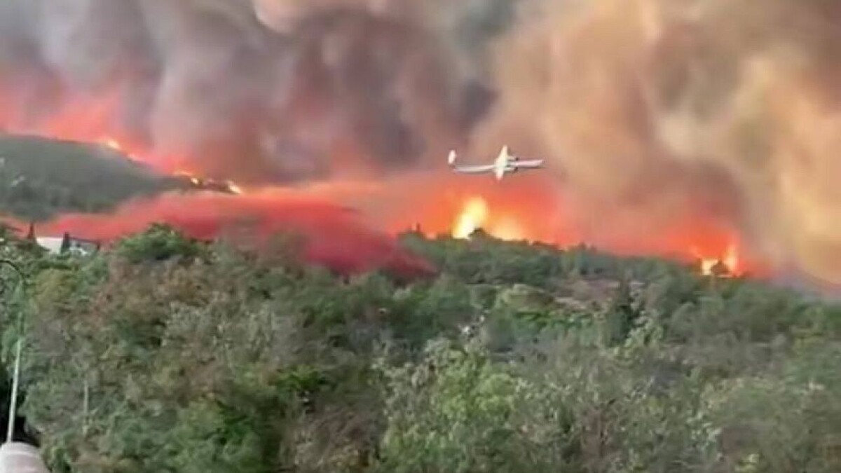    Фото: t.me/shot_shot