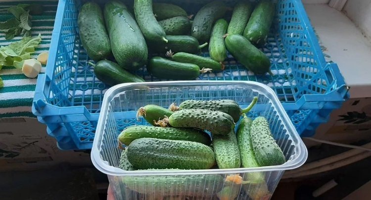 Огурцы по-фински самый вкусный рецепт