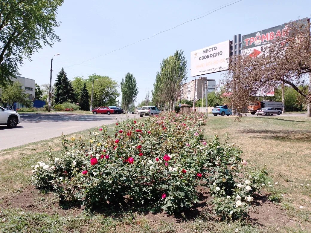 Из архива.Фото автора.