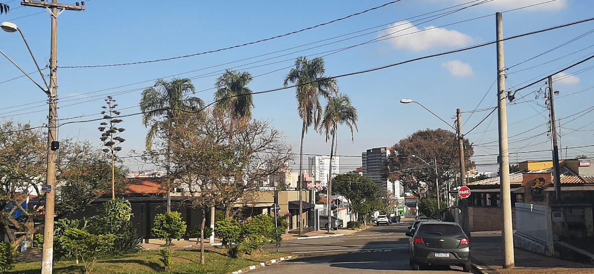 Бразилия. Город Кампинас (штат Сан-Паулу).