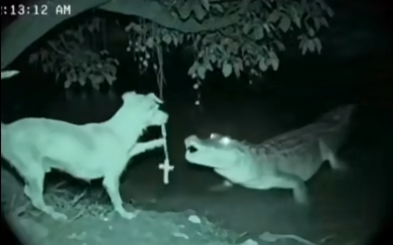 Изыди, Сатано!