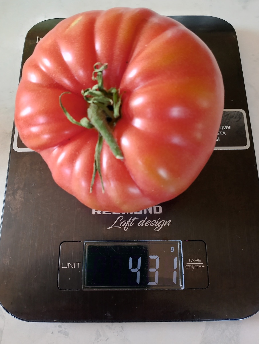 Фото автора.