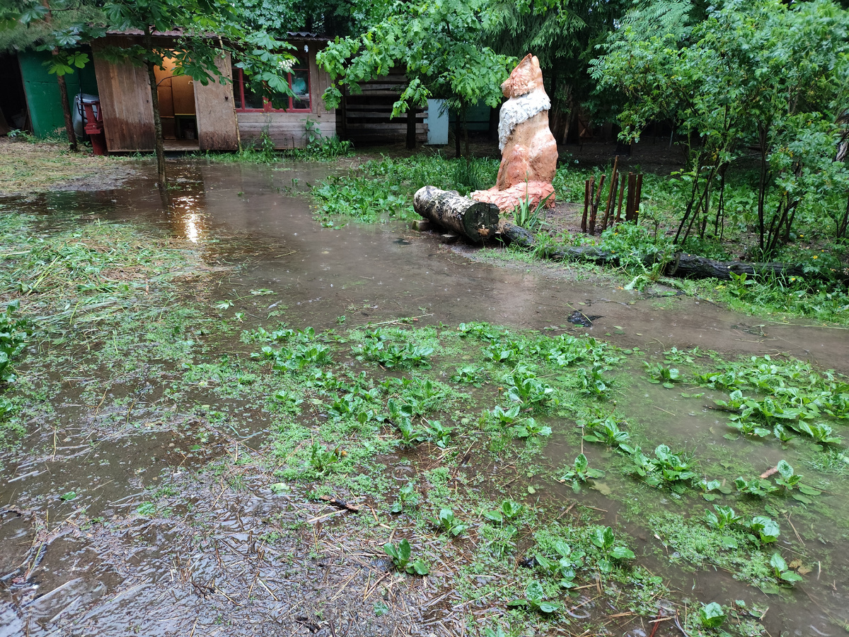 Вот так выглядел наш двор в период дождей