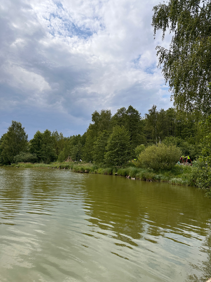 Люди, которые чаще бывают на природе меньше подверженны стрессовым ситуациям.  