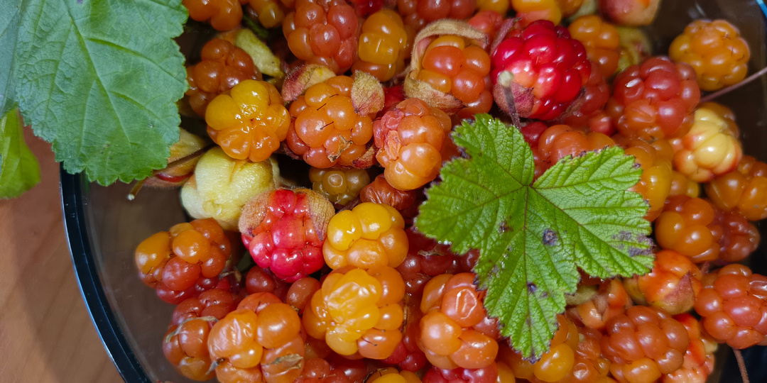 Август полон урожаев.