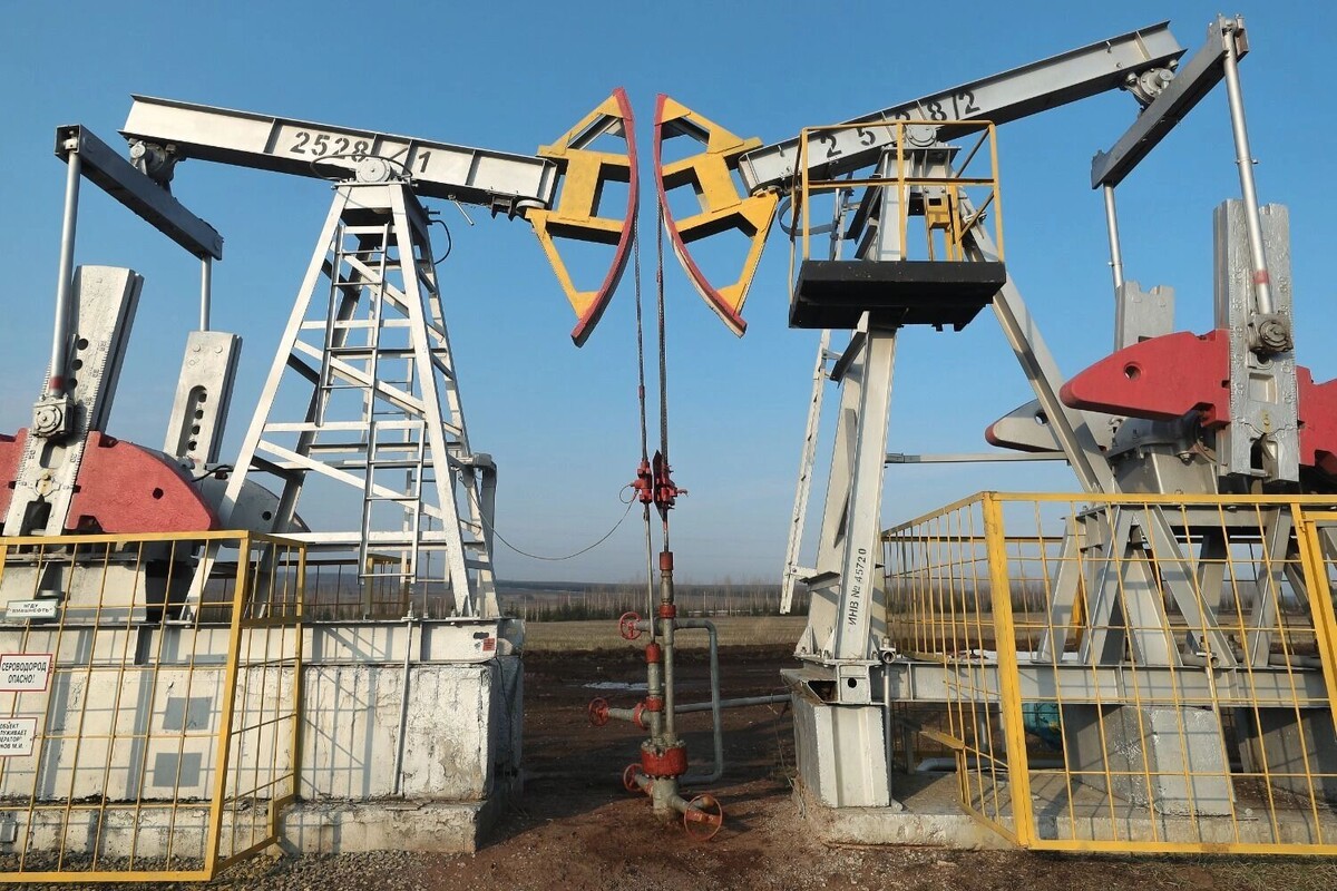 Сокращение доходов от нефтегаза составило 30% с начала года. Фото: Егор Алеев/ТАСС. newizv.ru