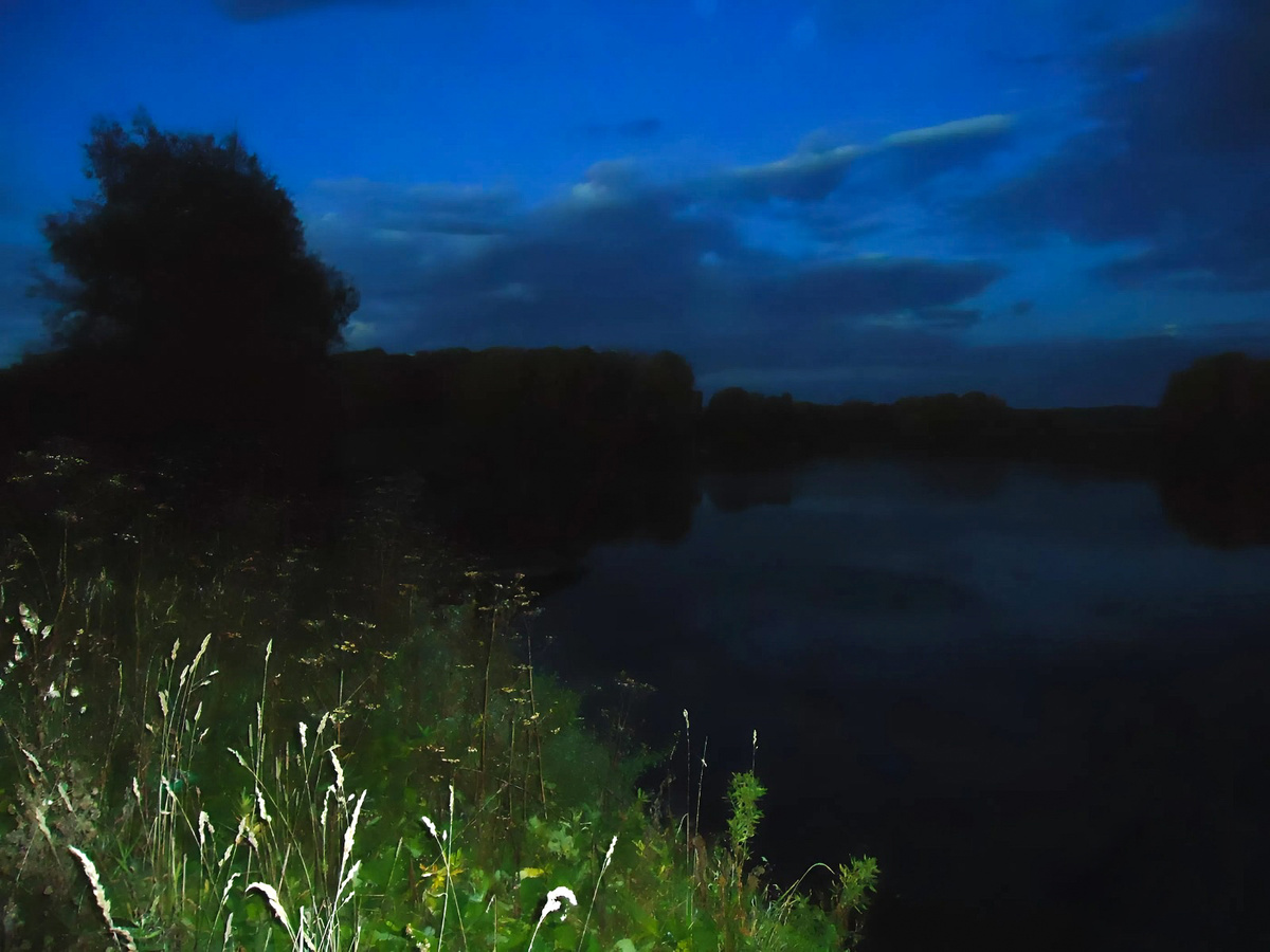 Фото на «мыльницу» со вспышкой, на котором, конечно же, ничего не видно.