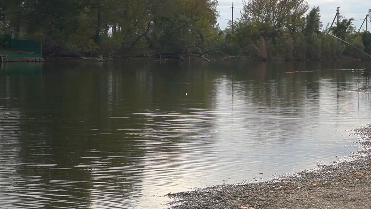    Фото: телеканал «Краснодар»