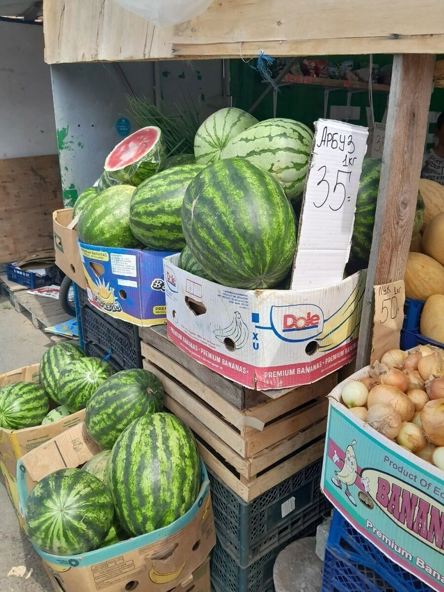     Источник: udm-info.ru