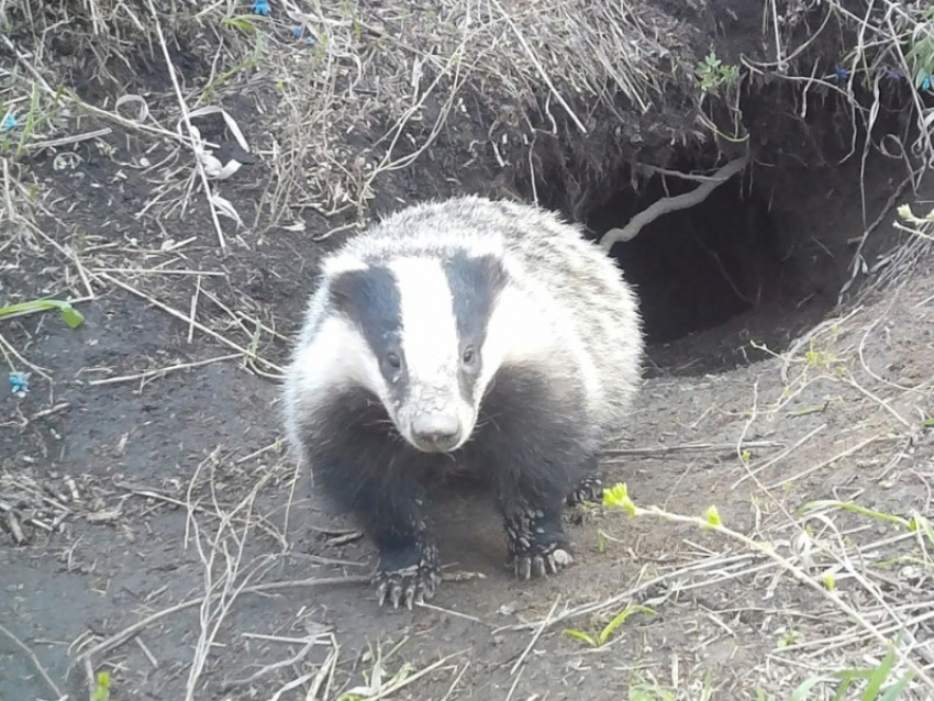 Фото: Дирекция особо охраняемых природных территорий