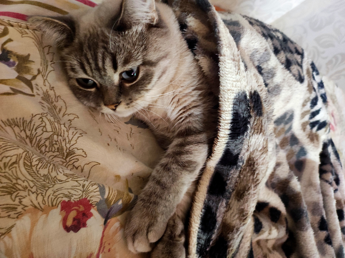 Фото автора 