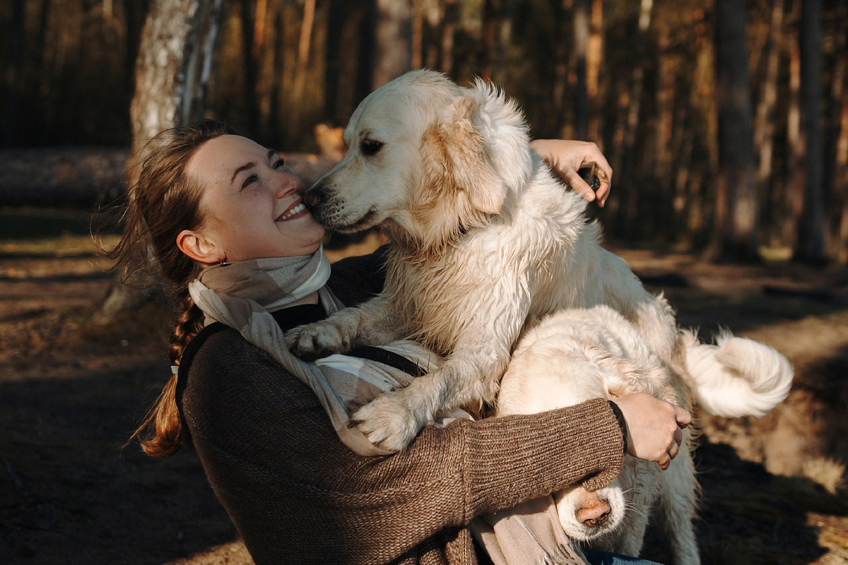 Иногда любовь приходит… всей собакой. А потом ещё двумя. Ни одна наша прогулка с собаками, ни один день не проходит без обнимашек