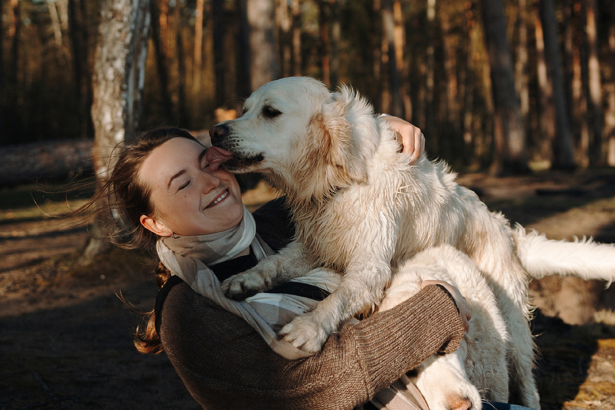  Показывают свою привязанность везде. Стоит мне сесть пониже – собаки у меня на руках