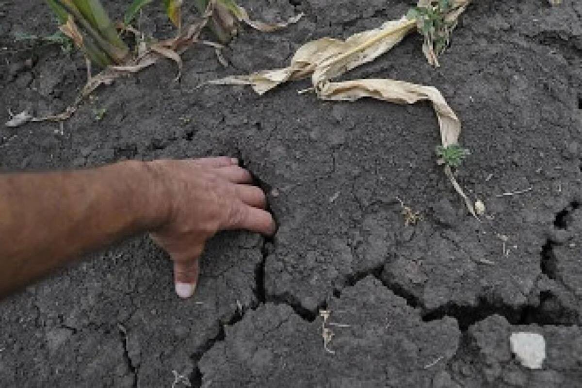    Фото: Андрей Архипов, Источник: РИА Новости