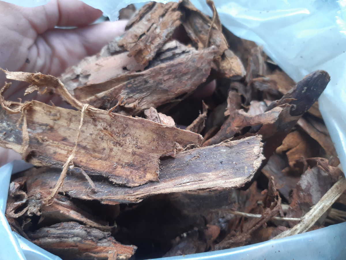 Сосновая кора для мульчирования, в строительных магазинах можно приобрести большими пакетами по 50 литров