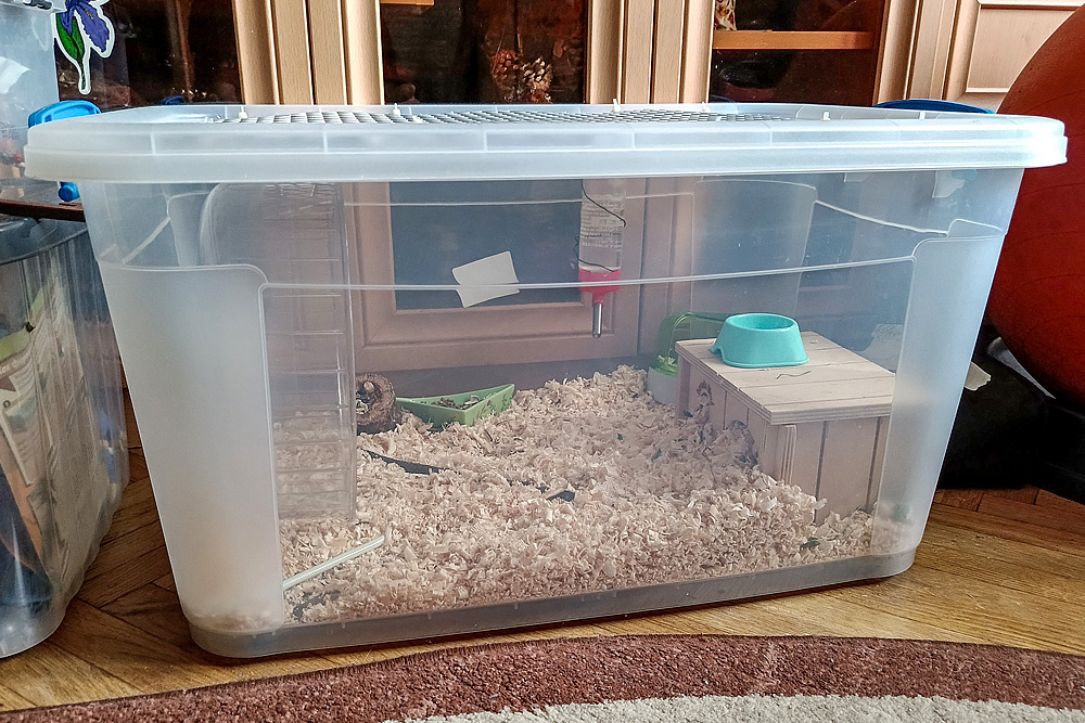 Контейнер для хомяка