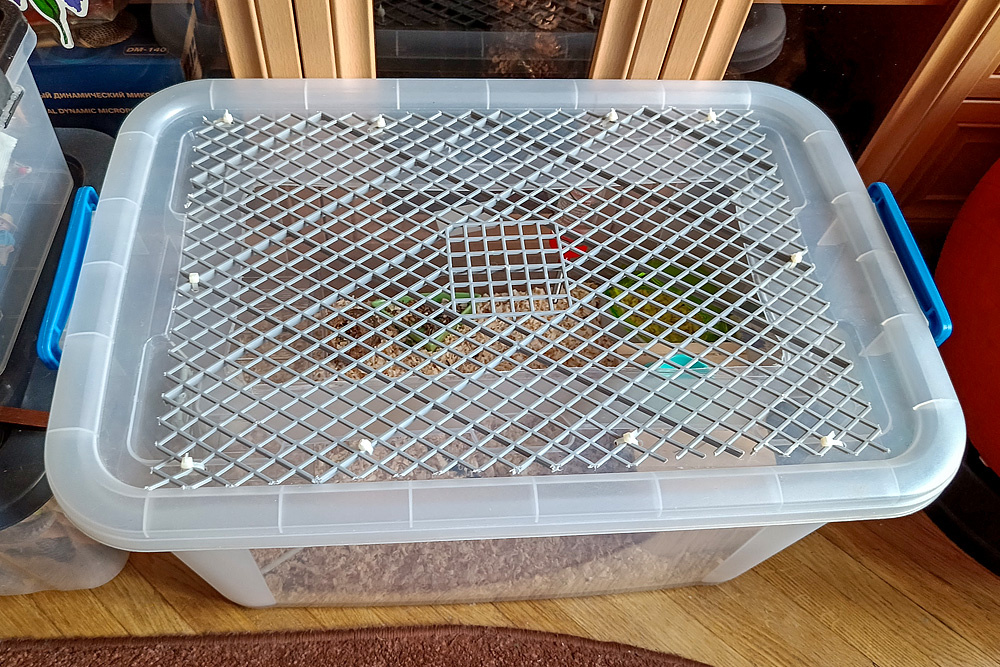 Решетка на крышке контейнера для хомяка