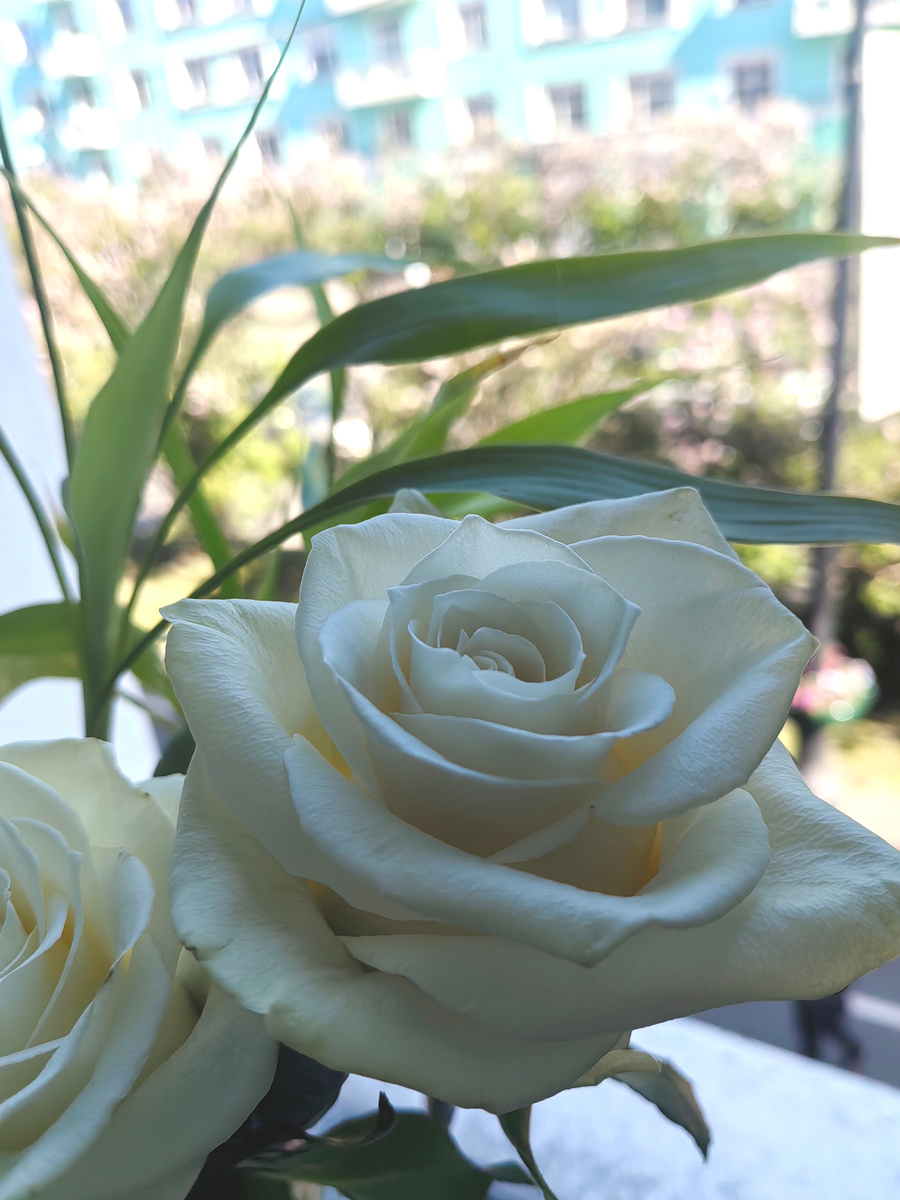 Фото июль 2025