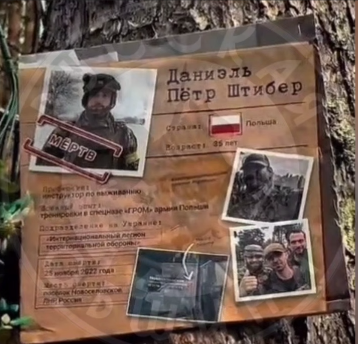 табличка на Сандармохе / телеграм-канал "Русская община ZOV"