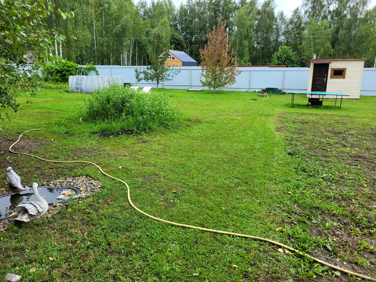 Покосила полоску