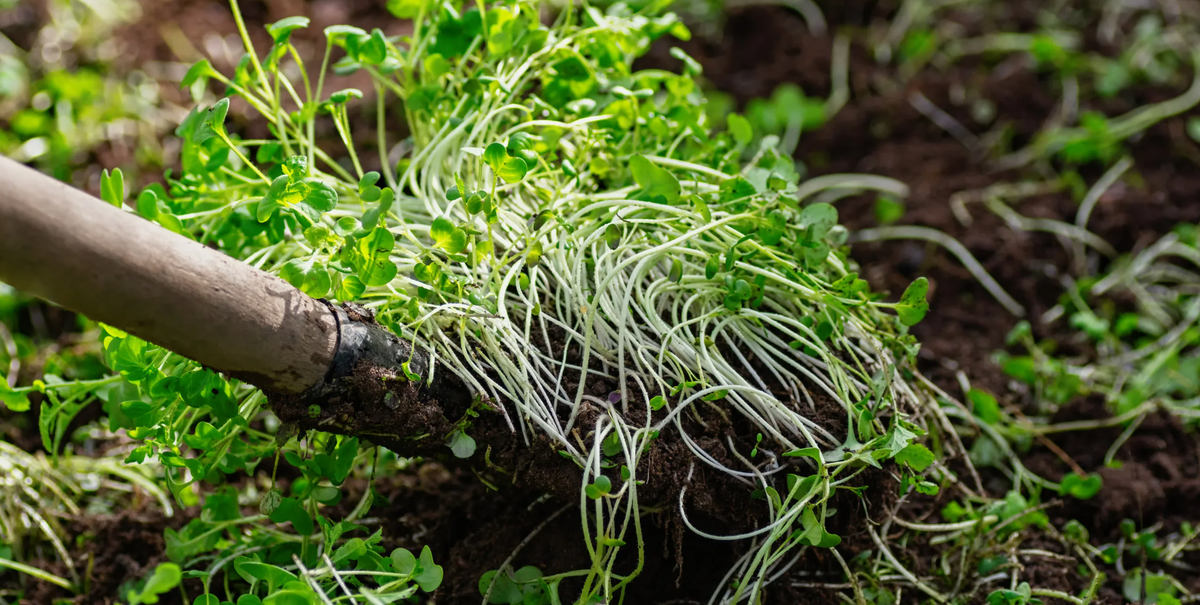 Нажмите пальчик вверх, это ваше спасибо автору за работу 👍👍👍👍👍