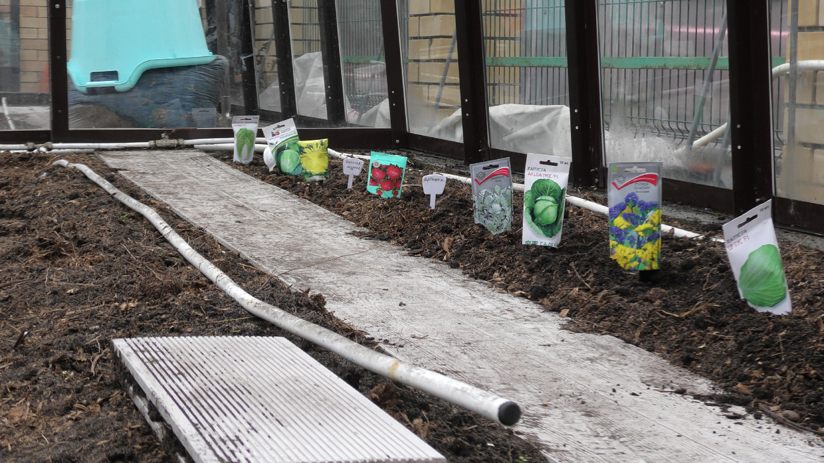 Фото автора канала Дом с кипарисами