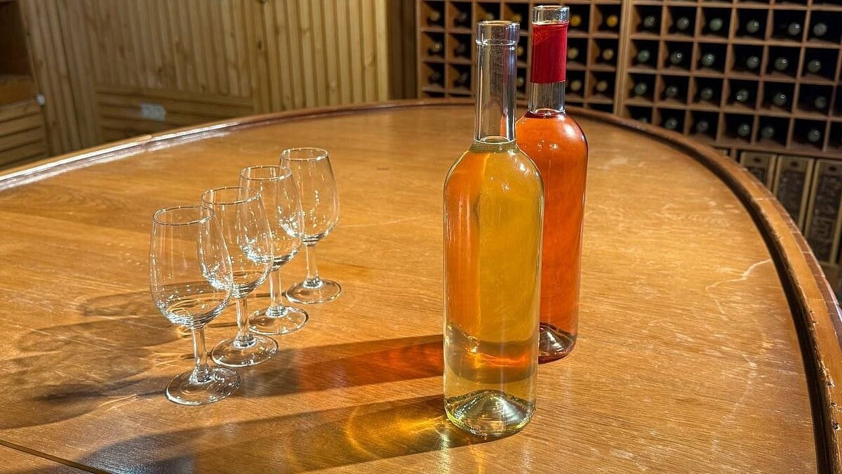    Фото: телеканал «Краснодар»