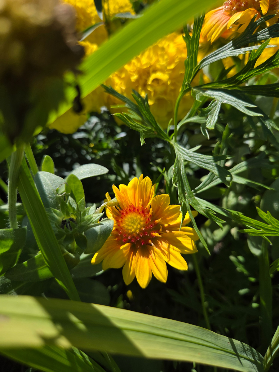 24 июля 2025 г.