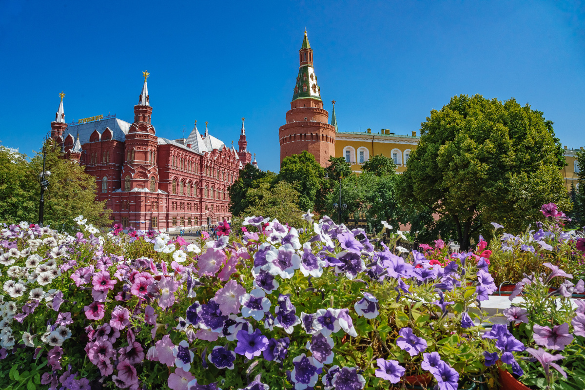 Цветы у Кремля