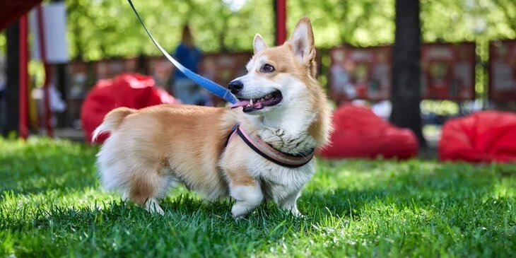    Фото: пресс-служба мэра и правительства Москвы