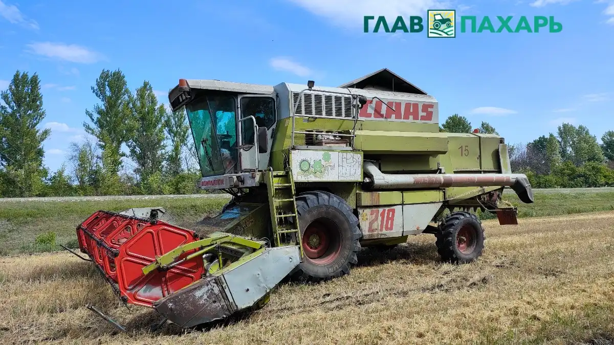 Фото: © Артем Борисов / Glavpahar.ruФотография носит иллюстративный характер