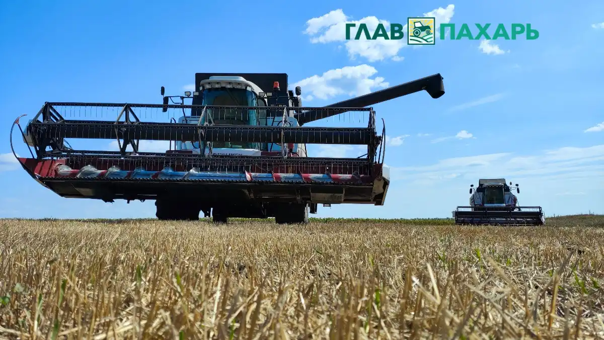 Фото: © Артем Борисов / Glavpahar.ruУченые-исследователи из ВолГТУ проведут исследования для улучшения сельхозтехники Ростсельмаш (фото иллюстративное)