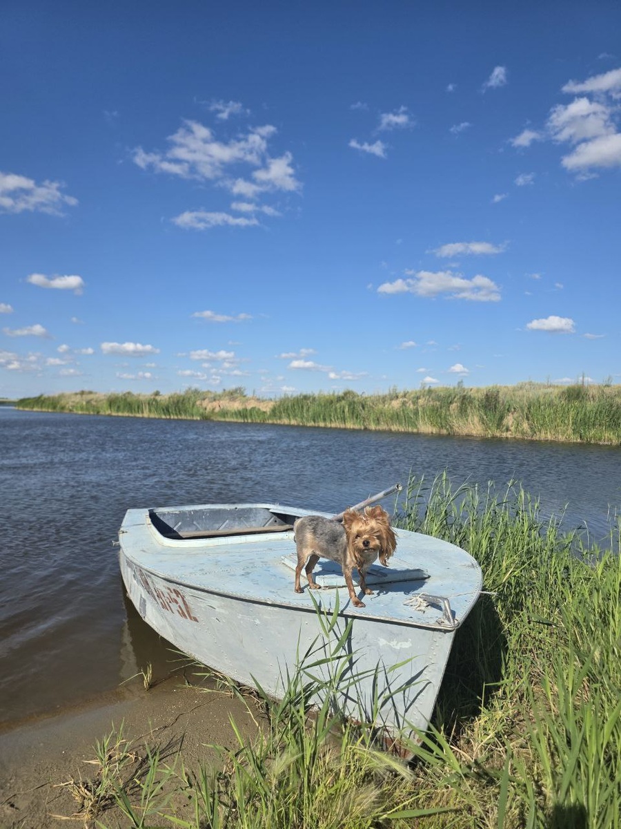 Зафоталась в Архангельском. 