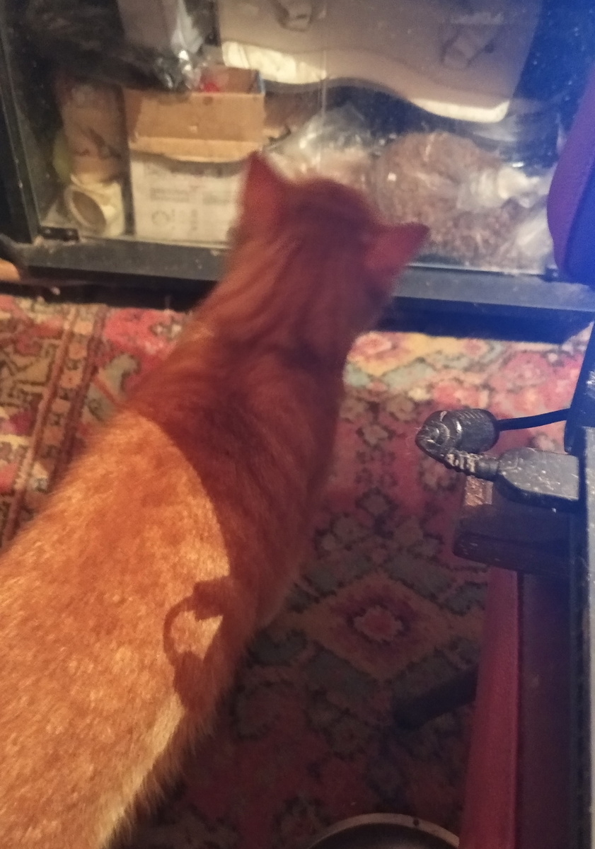 Личное  фото