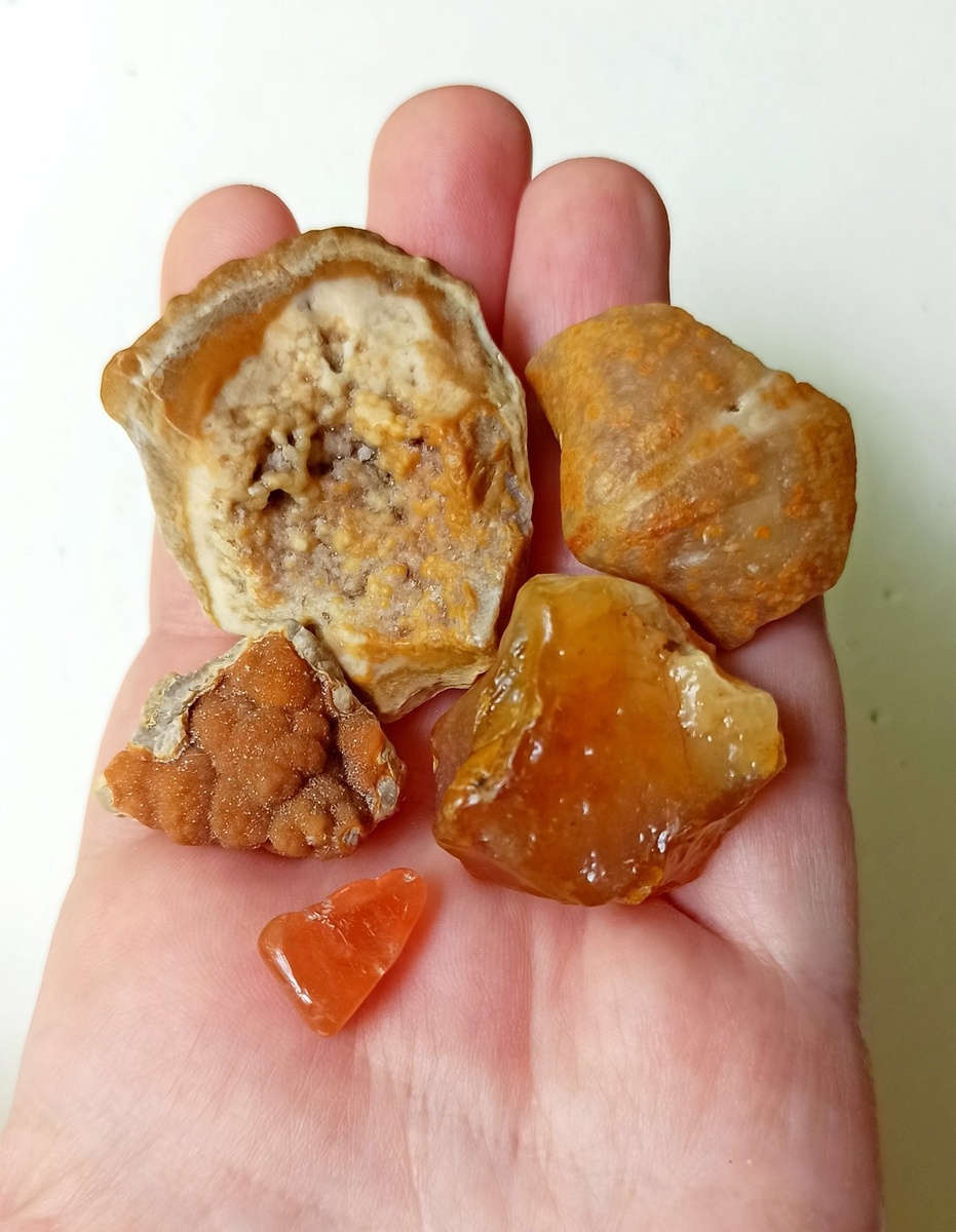 Слева сверху — кремень с причудами, справа —  окаменелая в халцедоне брахиопода. И рыженькие халцедоны.