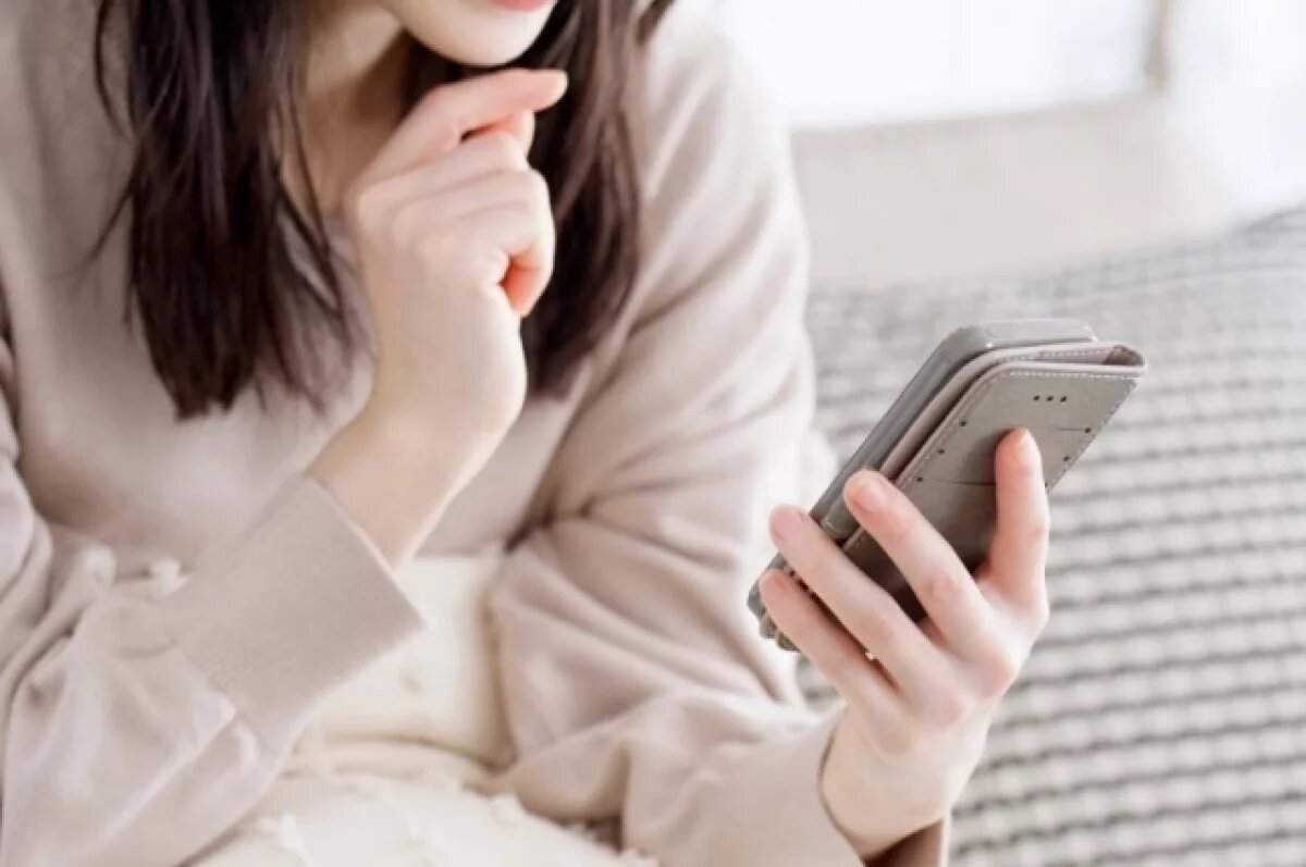    Минцифры подготовило схему доступа к интернету при его ограничении