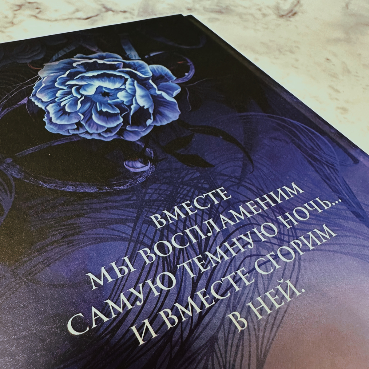 Фото Анны Карповой/Книжная лавка: жизнь любителя почитать