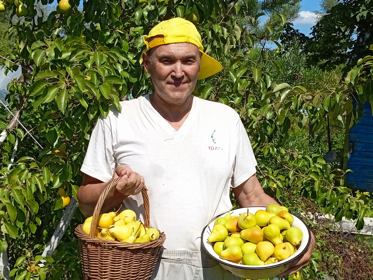 Ну возьмите фрукты... ,свежие.сочные,с дерева...